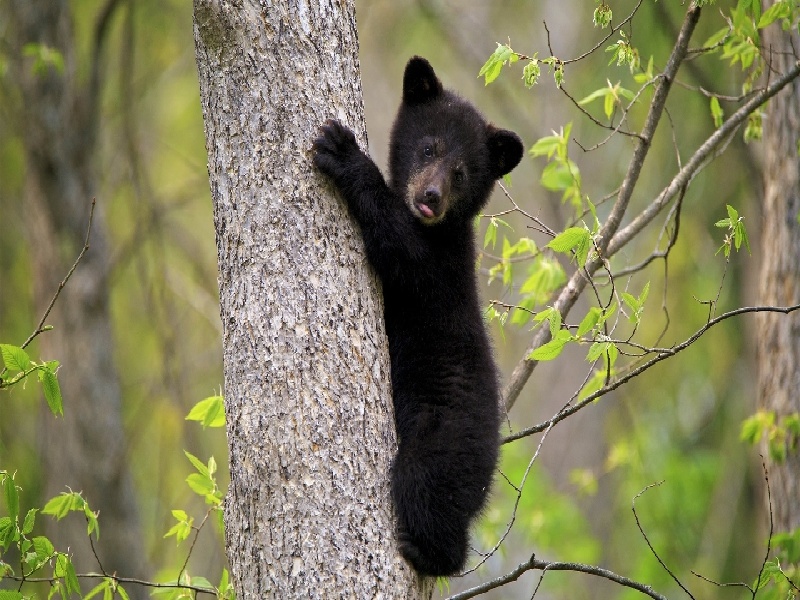 贵阳哪里能做试管,试管移植后反胃